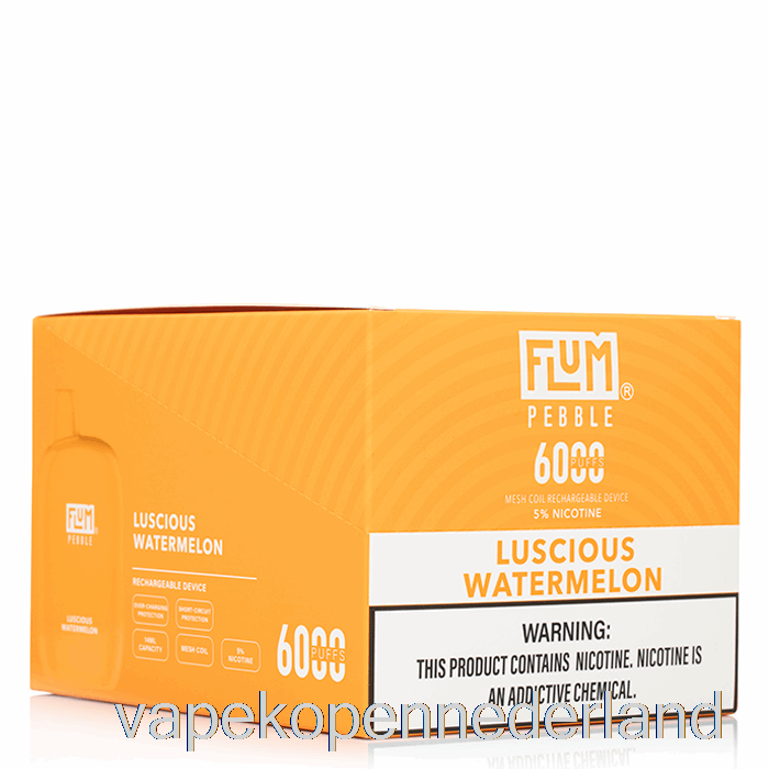 Vape Nederland [10-pack] Flum Pebble 6000 Wegwerp